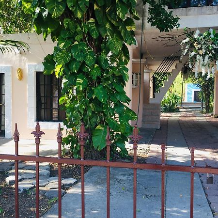 Hostal Y Camping Villa Mercedes ティシミン エクステリア 写真