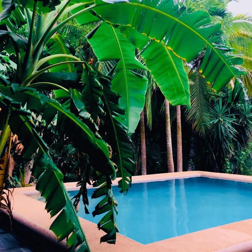 Hostal Y Camping Villa Mercedes ティシミン エクステリア 写真