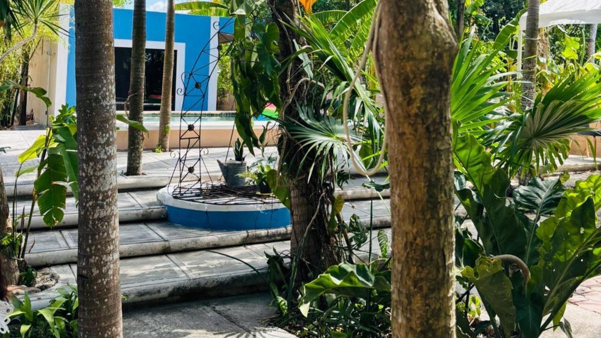 Hostal Y Camping Villa Mercedes ティシミン エクステリア 写真