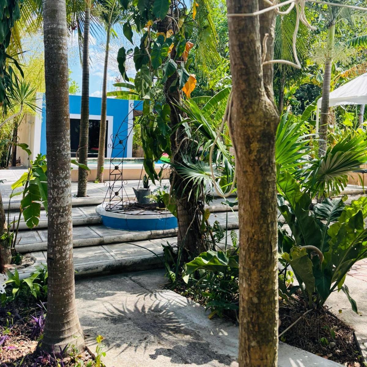 Hostal Y Camping Villa Mercedes ティシミン エクステリア 写真